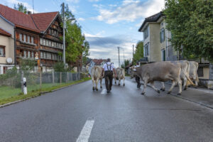 Appenzell, Appenzell Ausserrohden, Autumn, Fall, Herbst, Landwirtschaft, Schweiz, Sennen, Suisse, Switzerland, Tracht, Urnäsch, Viehschau, Wirtschaft, tradition