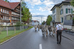 Appenzell, Appenzell Ausserrohden, Autumn, Fall, Herbst, Landwirtschaft, Schweiz, Sennen, Suisse, Switzerland, Tracht, Urnäsch, Viehschau, Wirtschaft, tradition