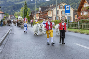 Appenzell, Appenzell Ausserrohden, Autumn, Fall, Herbst, Landwirtschaft, Schweiz, Sennen, Suisse, Switzerland, Tracht, Urnäsch, Viehschau, Wirtschaft, tradition