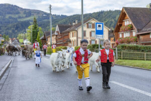 Appenzell, Appenzell Ausserrohden, Autumn, Fall, Herbst, Landwirtschaft, Schweiz, Sennen, Suisse, Switzerland, Tracht, Urnäsch, Viehschau, Wirtschaft, tradition