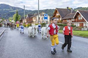 Appenzell, Appenzell Ausserrohden, Autumn, Fall, Herbst, Landwirtschaft, Schweiz, Sennen, Suisse, Switzerland, Tracht, Urnäsch, Viehschau, Wirtschaft, tradition