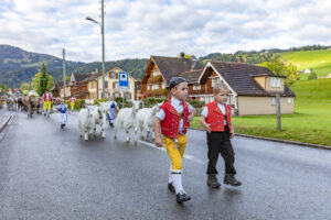 Appenzell, Appenzell Ausserrohden, Autumn, Fall, Herbst, Landwirtschaft, Schweiz, Sennen, Suisse, Switzerland, Tracht, Urnäsch, Viehschau, Wirtschaft, tradition