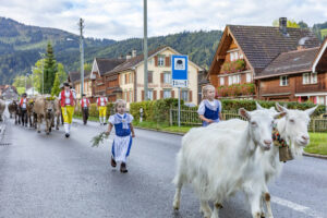 Appenzell, Appenzell Ausserrohden, Autumn, Fall, Herbst, Landwirtschaft, Schweiz, Sennen, Suisse, Switzerland, Tracht, Urnäsch, Viehschau, Wirtschaft, tradition