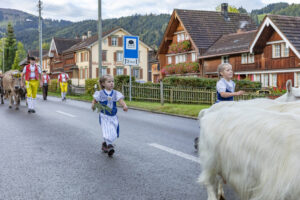 Appenzell, Appenzell Ausserrohden, Autumn, Fall, Herbst, Landwirtschaft, Schweiz, Sennen, Suisse, Switzerland, Tracht, Urnäsch, Viehschau, Wirtschaft, tradition