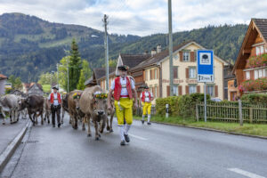 Appenzell, Appenzell Ausserrohden, Autumn, Fall, Herbst, Landwirtschaft, Schweiz, Sennen, Suisse, Switzerland, Tracht, Urnäsch, Viehschau, Wirtschaft, tradition
