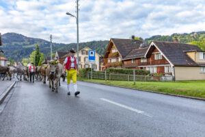 Appenzell, Appenzell Ausserrohden, Autumn, Fall, Herbst, Landwirtschaft, Schweiz, Sennen, Suisse, Switzerland, Tracht, Urnäsch, Viehschau, Wirtschaft, tradition