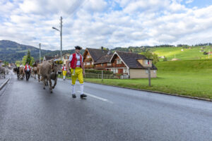 Appenzell, Appenzell Ausserrohden, Autumn, Fall, Herbst, Landwirtschaft, Schweiz, Sennen, Suisse, Switzerland, Tracht, Urnäsch, Viehschau, Wirtschaft, tradition