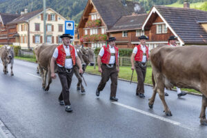 Appenzell, Appenzell Ausserrohden, Autumn, Fall, Herbst, Landwirtschaft, Schweiz, Sennen, Suisse, Switzerland, Tracht, Urnäsch, Viehschau, Wirtschaft, tradition