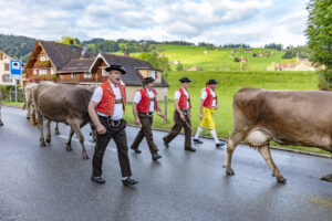 Appenzell, Appenzell Ausserrohden, Autumn, Fall, Herbst, Landwirtschaft, Schweiz, Sennen, Suisse, Switzerland, Tracht, Urnäsch, Viehschau, Wirtschaft, tradition