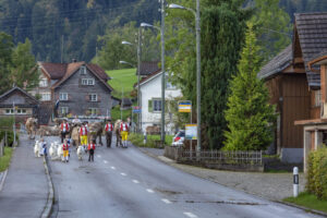 Appenzell, Appenzell Ausserrohden, Autumn, Fall, Herbst, Landwirtschaft, Schweiz, Sennen, Suisse, Switzerland, Tracht, Urnäsch, Viehschau, Wirtschaft, tradition