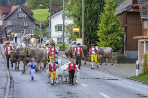 Appenzell, Appenzell Ausserrohden, Autumn, Fall, Herbst, Landwirtschaft, Schweiz, Sennen, Suisse, Switzerland, Tracht, Urnäsch, Viehschau, Wirtschaft, tradition