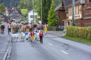 Appenzell, Appenzell Ausserrohden, Autumn, Fall, Herbst, Landwirtschaft, Schweiz, Sennen, Suisse, Switzerland, Tracht, Urnäsch, Viehschau, Wirtschaft, tradition