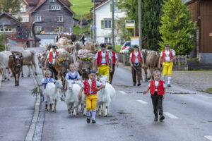 Appenzell, Appenzell Ausserrohden, Autumn, Fall, Herbst, Landwirtschaft, Schweiz, Sennen, Suisse, Switzerland, Tracht, Urnäsch, Viehschau, Wirtschaft, tradition