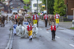 Appenzell, Appenzell Ausserrohden, Autumn, Fall, Herbst, Landwirtschaft, Schweiz, Sennen, Suisse, Switzerland, Tracht, Urnäsch, Viehschau, Wirtschaft, tradition