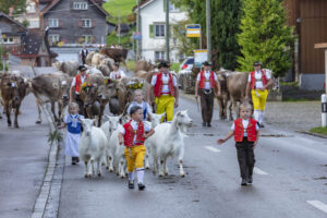 Appenzell, Appenzell Ausserrohden, Autumn, Fall, Herbst, Landwirtschaft, Schweiz, Sennen, Suisse, Switzerland, Tracht, Urnäsch, Viehschau, Wirtschaft, tradition