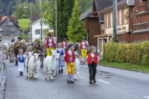 Appenzell, Appenzell Ausserrohden, Autumn, Fall, Herbst, Landwirtschaft, Schweiz, Sennen, Suisse, Switzerland, Tracht, Urnäsch, Viehschau, Wirtschaft, tradition