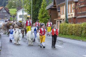 Appenzell, Appenzell Ausserrohden, Autumn, Fall, Herbst, Landwirtschaft, Schweiz, Sennen, Suisse, Switzerland, Tracht, Urnäsch, Viehschau, Wirtschaft, tradition