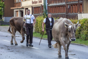Appenzell, Appenzell Ausserrohden, Autumn, Fall, Herbst, Landwirtschaft, Schweiz, Sennen, Suisse, Switzerland, Tracht, Urnäsch, Viehschau, Wirtschaft, tradition