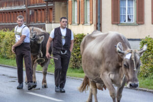 Appenzell, Appenzell Ausserrohden, Autumn, Fall, Herbst, Landwirtschaft, Schweiz, Sennen, Suisse, Switzerland, Tracht, Urnäsch, Viehschau, Wirtschaft, tradition