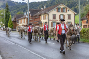 Appenzell, Appenzell Ausserrohden, Autumn, Fall, Herbst, Landwirtschaft, Schweiz, Sennen, Suisse, Switzerland, Tracht, Urnäsch, Viehschau, Wirtschaft, tradition
