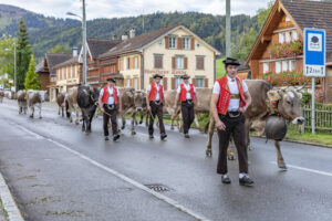 Appenzell, Appenzell Ausserrohden, Autumn, Fall, Herbst, Landwirtschaft, Schweiz, Sennen, Suisse, Switzerland, Tracht, Urnäsch, Viehschau, Wirtschaft, tradition
