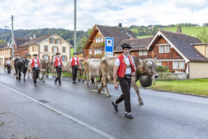 Appenzell, Appenzell Ausserrohden, Autumn, Fall, Herbst, Landwirtschaft, Schweiz, Sennen, Suisse, Switzerland, Tracht, Urnäsch, Viehschau, Wirtschaft, tradition