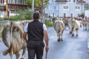 Appenzell, Appenzell Ausserrohden, Autumn, Fall, Herbst, Landwirtschaft, Schweiz, Sennen, Suisse, Switzerland, Tracht, Urnäsch, Viehschau, Wirtschaft, tradition