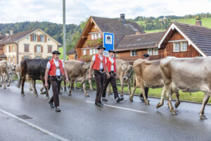 Appenzell, Appenzell Ausserrohden, Autumn, Fall, Herbst, Landwirtschaft, Schweiz, Sennen, Suisse, Switzerland, Tracht, Urnäsch, Viehschau, Wirtschaft, tradition