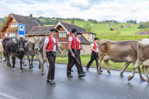Appenzell, Appenzell Ausserrohden, Autumn, Fall, Herbst, Landwirtschaft, Schweiz, Sennen, Suisse, Switzerland, Tracht, Urnäsch, Viehschau, Wirtschaft, tradition