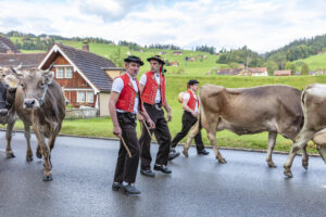 Appenzell, Appenzell Ausserrohden, Autumn, Fall, Herbst, Landwirtschaft, Schweiz, Sennen, Suisse, Switzerland, Tracht, Urnäsch, Viehschau, Wirtschaft, tradition