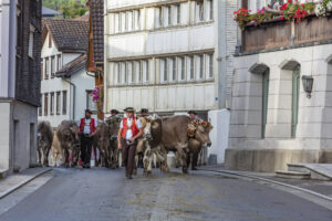 Appenzell, Appenzell Ausserrohden, Autumn, Fall, Herbst, Landwirtschaft, Schweiz, Sennen, Suisse, Switzerland, Tracht, Urnäsch, Viehschau, Wirtschaft, tradition