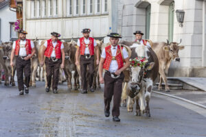 Appenzell, Appenzell Ausserrohden, Autumn, Fall, Herbst, Landwirtschaft, Schweiz, Sennen, Suisse, Switzerland, Tracht, Urnäsch, Viehschau, Wirtschaft, tradition
