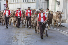 Appenzell, Appenzell Ausserrohden, Autumn, Fall, Herbst, Landwirtschaft, Schweiz, Sennen, Suisse, Switzerland, Tracht, Urnäsch, Viehschau, Wirtschaft, tradition