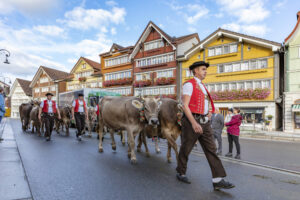 Appenzell, Appenzell Ausserrohden, Autumn, Fall, Herbst, Landwirtschaft, Schweiz, Sennen, Suisse, Switzerland, Tracht, Urnäsch, Viehschau, Wirtschaft, tradition