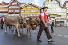 Appenzell, Appenzell Ausserrohden, Autumn, Fall, Herbst, Landwirtschaft, Schweiz, Sennen, Suisse, Switzerland, Tracht, Urnäsch, Viehschau, Wirtschaft, tradition