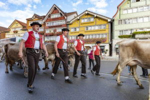 Appenzell, Appenzell Ausserrohden, Autumn, Fall, Herbst, Landwirtschaft, Schweiz, Sennen, Suisse, Switzerland, Tracht, Urnäsch, Viehschau, Wirtschaft, tradition