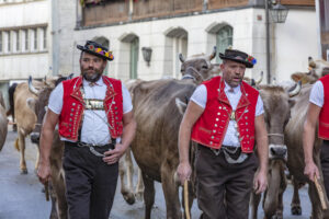 Appenzell, Appenzell Ausserrohden, Autumn, Fall, Herbst, Landwirtschaft, Schweiz, Sennen, Suisse, Switzerland, Tracht, Urnäsch, Viehschau, Wirtschaft, tradition