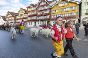 Appenzell, Appenzell Ausserrohden, Autumn, Fall, Herbst, Landwirtschaft, Schweiz, Sennen, Suisse, Switzerland, Tracht, Urnäsch, Viehschau, Wirtschaft, tradition