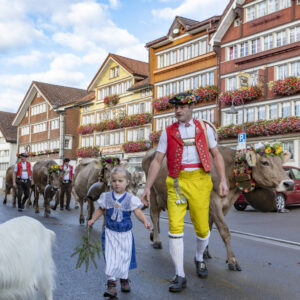Appenzell, Appenzell Ausserrohden, Autumn, Fall, Herbst, Landwirtschaft, Schweiz, Sennen, Suisse, Switzerland, Tracht, Urnäsch, Viehschau, Wirtschaft, tradition