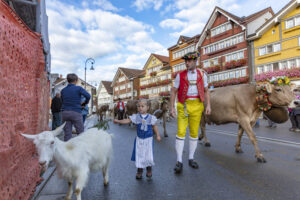 Appenzell, Appenzell Ausserrohden, Autumn, Fall, Herbst, Landwirtschaft, Schweiz, Sennen, Suisse, Switzerland, Tracht, Urnäsch, Viehschau, Wirtschaft, tradition