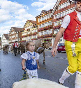 Appenzell, Appenzell Ausserrohden, Autumn, Fall, Herbst, Landwirtschaft, Schweiz, Sennen, Suisse, Switzerland, Tracht, Urnäsch, Viehschau, Wirtschaft, tradition