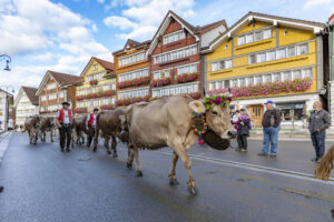 Appenzell, Appenzell Ausserrohden, Autumn, Fall, Herbst, Landwirtschaft, Schweiz, Sennen, Suisse, Switzerland, Tracht, Urnäsch, Viehschau, Wirtschaft, tradition