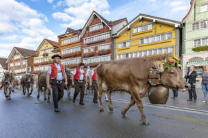 Appenzell, Appenzell Ausserrohden, Autumn, Fall, Herbst, Landwirtschaft, Schweiz, Sennen, Suisse, Switzerland, Tracht, Urnäsch, Viehschau, Wirtschaft, tradition