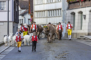 Appenzell, Appenzell Ausserrohden, Autumn, Fall, Herbst, Landwirtschaft, Schweiz, Sennen, Suisse, Switzerland, Tracht, Urnäsch, Viehschau, Wirtschaft, tradition