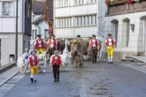 Appenzell, Appenzell Ausserrohden, Autumn, Fall, Herbst, Landwirtschaft, Schweiz, Sennen, Suisse, Switzerland, Tracht, Urnäsch, Viehschau, Wirtschaft, tradition