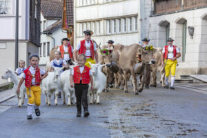Appenzell, Appenzell Ausserrohden, Autumn, Fall, Herbst, Landwirtschaft, Schweiz, Sennen, Suisse, Switzerland, Tracht, Urnäsch, Viehschau, Wirtschaft, tradition