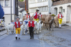 Appenzell, Appenzell Ausserrohden, Autumn, Fall, Herbst, Landwirtschaft, Schweiz, Sennen, Suisse, Switzerland, Tracht, Urnäsch, Viehschau, Wirtschaft, tradition