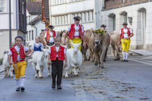 Appenzell, Appenzell Ausserrohden, Autumn, Fall, Herbst, Landwirtschaft, Schweiz, Sennen, Suisse, Switzerland, Tracht, Urnäsch, Viehschau, Wirtschaft, tradition