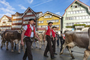 Appenzell, Appenzell Ausserrohden, Autumn, Fall, Herbst, Landwirtschaft, Schweiz, Sennen, Suisse, Switzerland, Tracht, Urnäsch, Viehschau, Wirtschaft, tradition