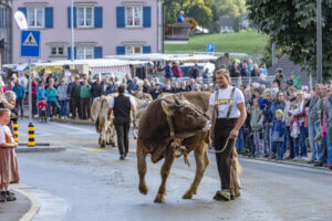Appenzell, Appenzell Ausserrohden, Autumn, Fall, Herbst, Landwirtschaft, Schweiz, Sennen, Suisse, Switzerland, Tracht, Urnäsch, Viehschau, Wirtschaft, tradition